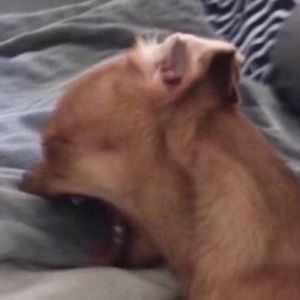 Meet your Posher, Jacob